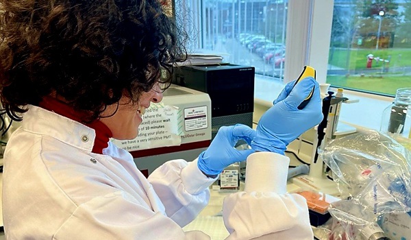 Scientists develop ultrasound-triggered implants to treat back pain