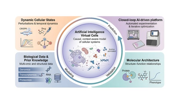 Researchers publish roadmap for AI-powered virtual cells
